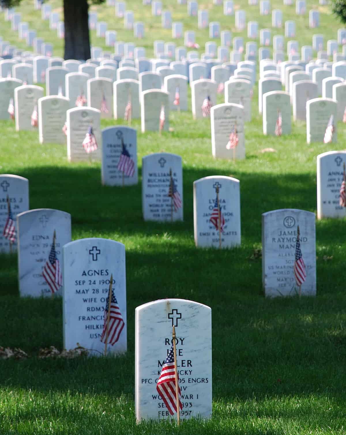 Graves_at_Arlington_on_Memorial_Day